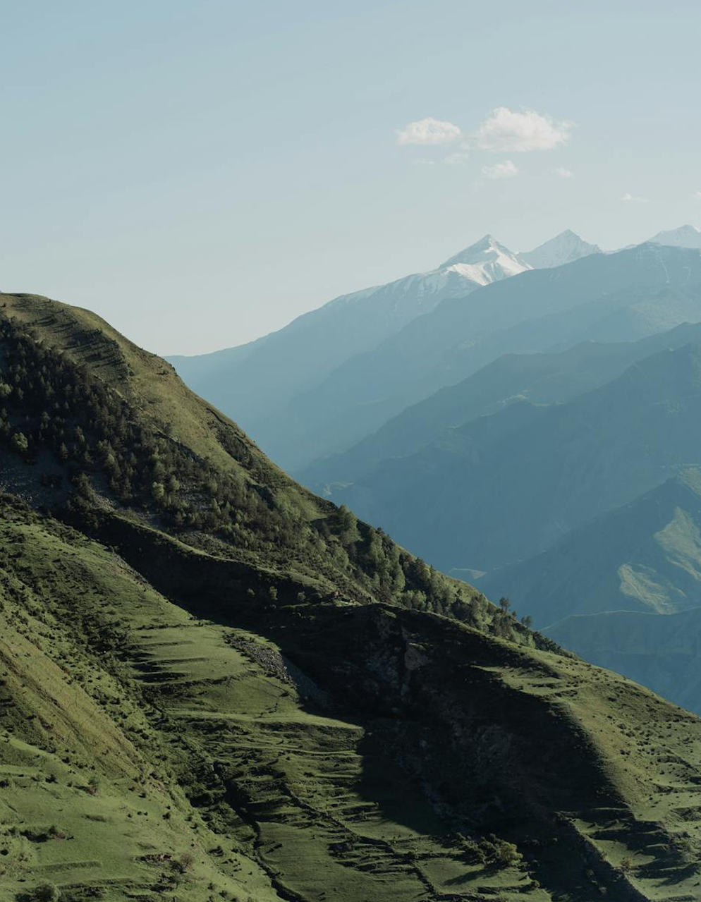 CommunityStructured1